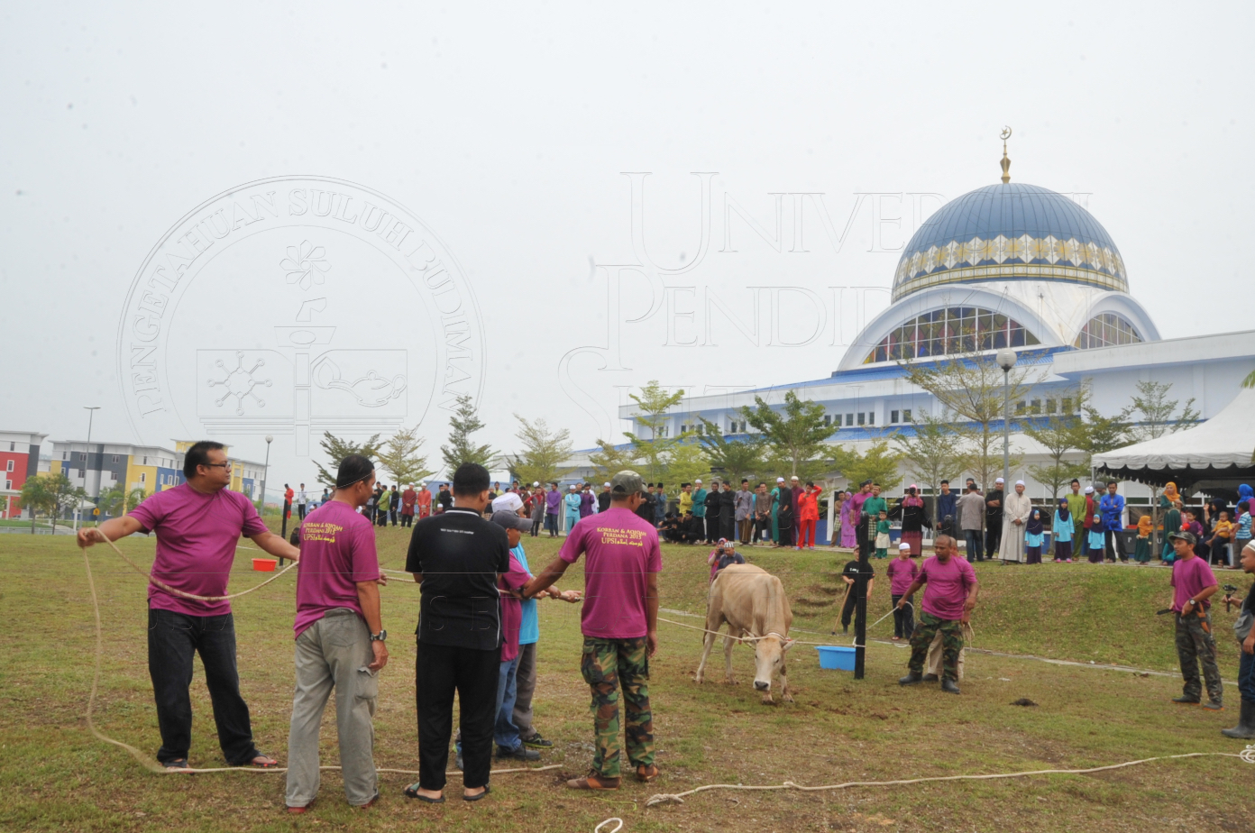 PRO15 150 KORBAN HAS 6669